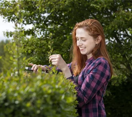 Diese Arbeiten sind jetzt im Garten noch nötig