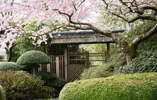 Ruhe und Erholung im japanischen Garten